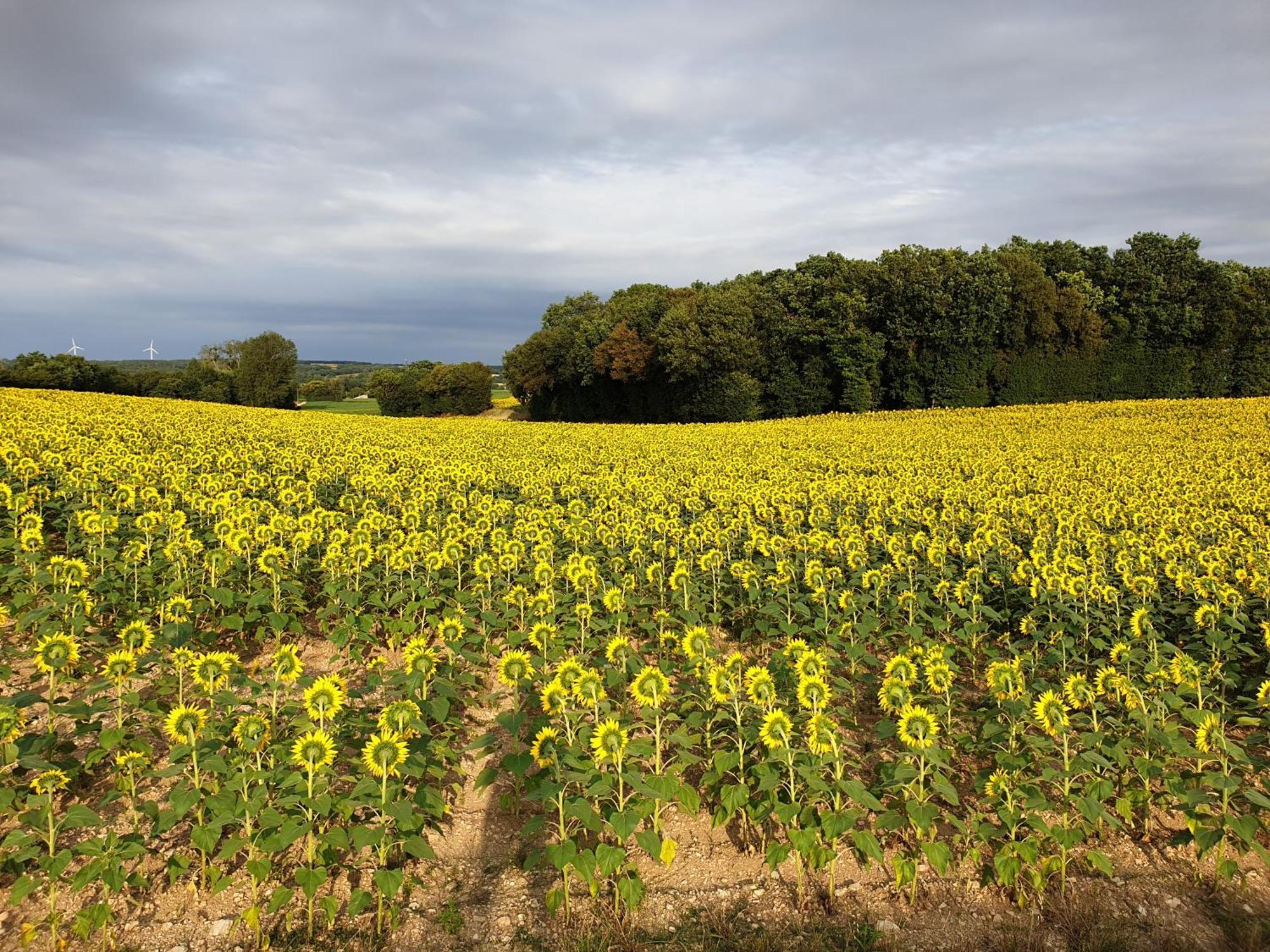 Tusson, Charente - Bed&Breakfast - Large King Room Exterior foto